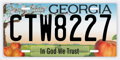 GA license plate CTW8227