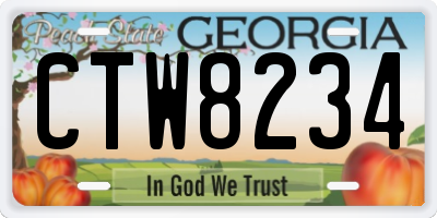 GA license plate CTW8234