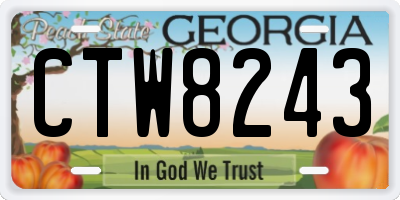 GA license plate CTW8243