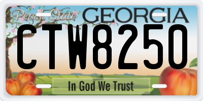 GA license plate CTW8250