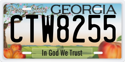 GA license plate CTW8255