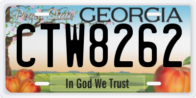 GA license plate CTW8262
