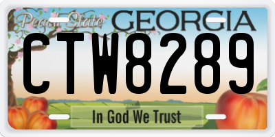 GA license plate CTW8289