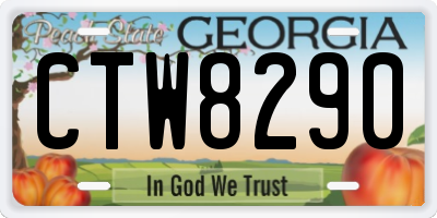 GA license plate CTW8290