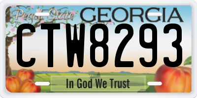 GA license plate CTW8293