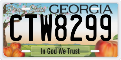 GA license plate CTW8299