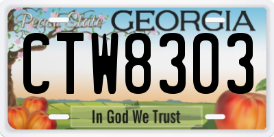 GA license plate CTW8303