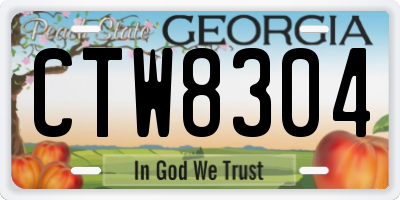 GA license plate CTW8304