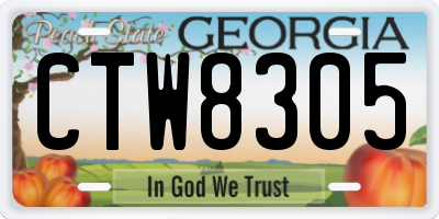 GA license plate CTW8305