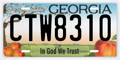 GA license plate CTW8310