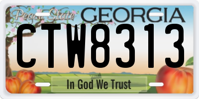 GA license plate CTW8313