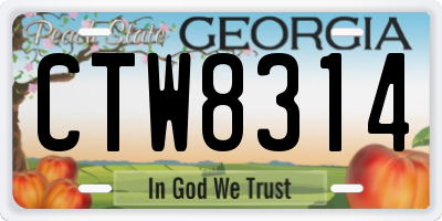 GA license plate CTW8314