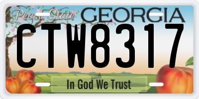 GA license plate CTW8317