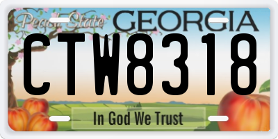 GA license plate CTW8318