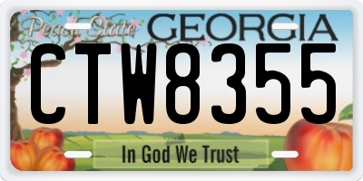 GA license plate CTW8355