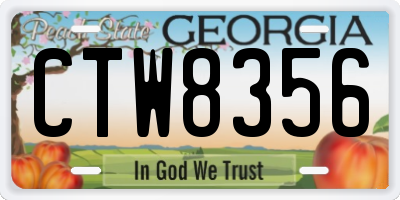 GA license plate CTW8356