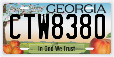 GA license plate CTW8380