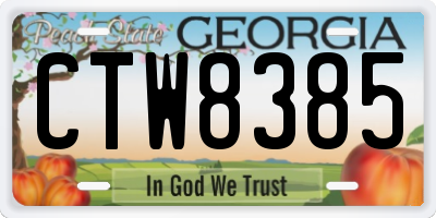 GA license plate CTW8385