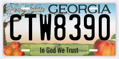 GA license plate CTW8390