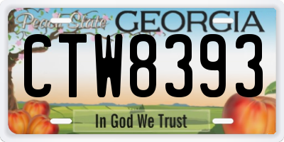 GA license plate CTW8393