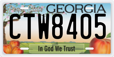 GA license plate CTW8405