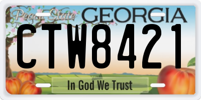 GA license plate CTW8421
