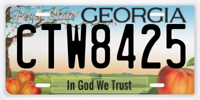 GA license plate CTW8425