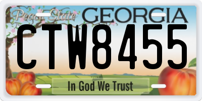GA license plate CTW8455