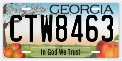 GA license plate CTW8463