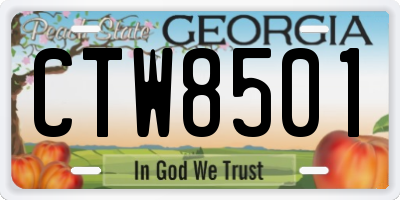 GA license plate CTW8501