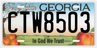 GA license plate CTW8503
