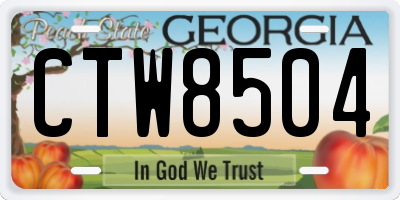 GA license plate CTW8504