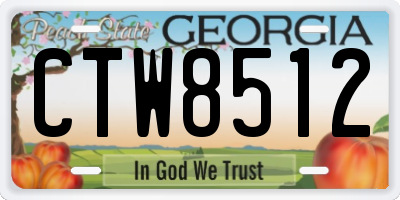 GA license plate CTW8512