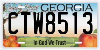 GA license plate CTW8513