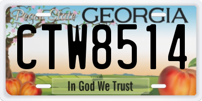 GA license plate CTW8514