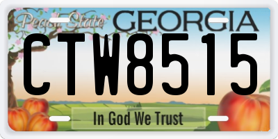 GA license plate CTW8515