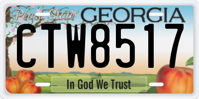 GA license plate CTW8517
