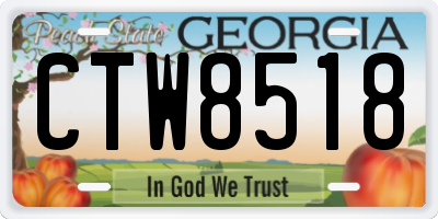 GA license plate CTW8518