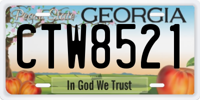 GA license plate CTW8521