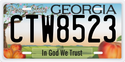 GA license plate CTW8523