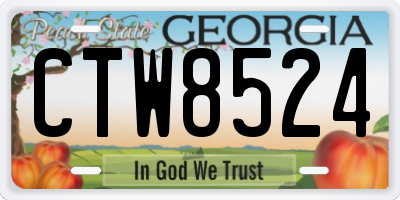 GA license plate CTW8524