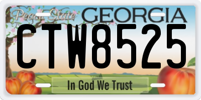 GA license plate CTW8525