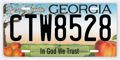 GA license plate CTW8528