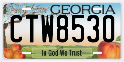 GA license plate CTW8530