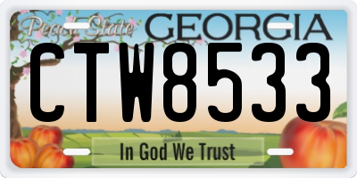 GA license plate CTW8533