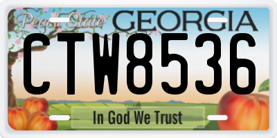 GA license plate CTW8536