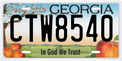 GA license plate CTW8540