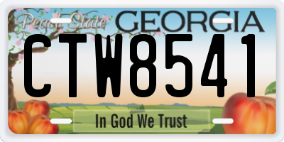 GA license plate CTW8541