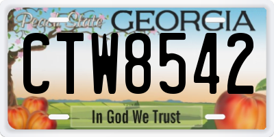 GA license plate CTW8542