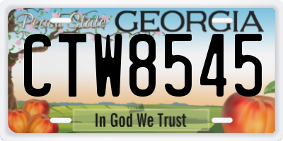 GA license plate CTW8545